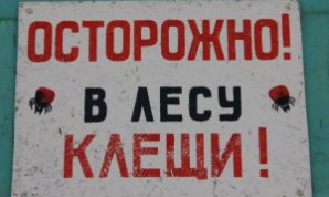 Клещи в Челябинске. Автомобилист будь осторожен, не привези с пикника кровососа!!!